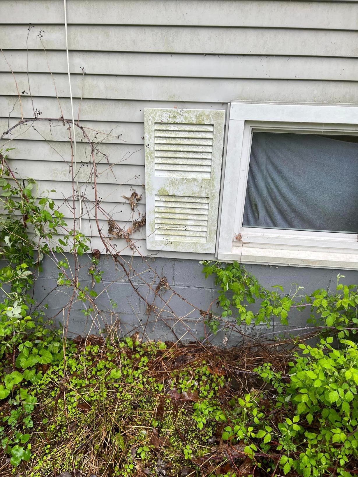 Gallery Image : JCH Softwash LLC