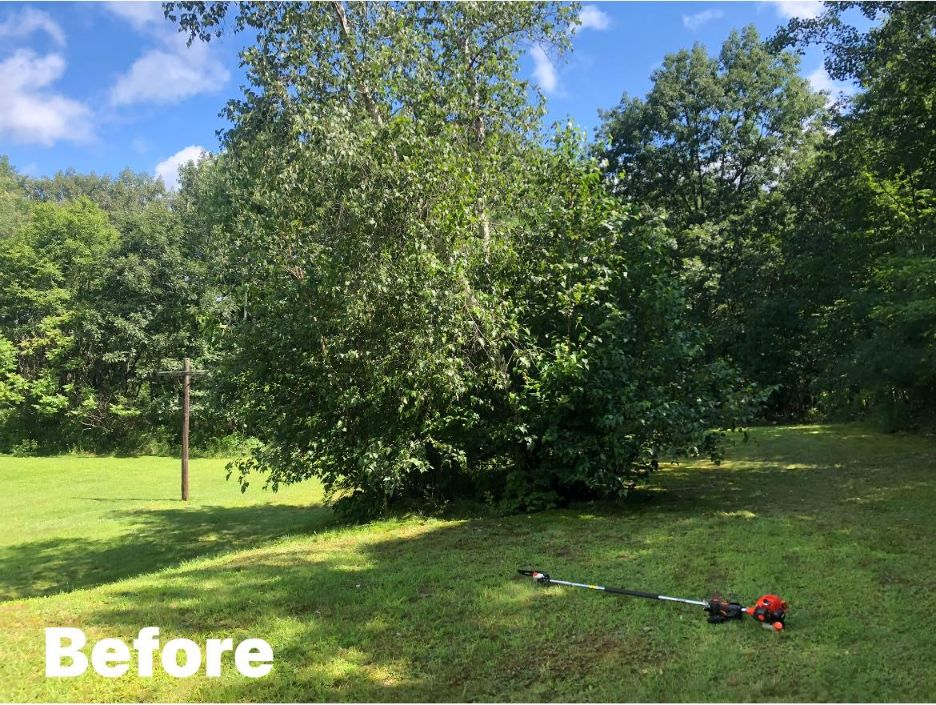 Gallery Image : JCH Softwash LLC