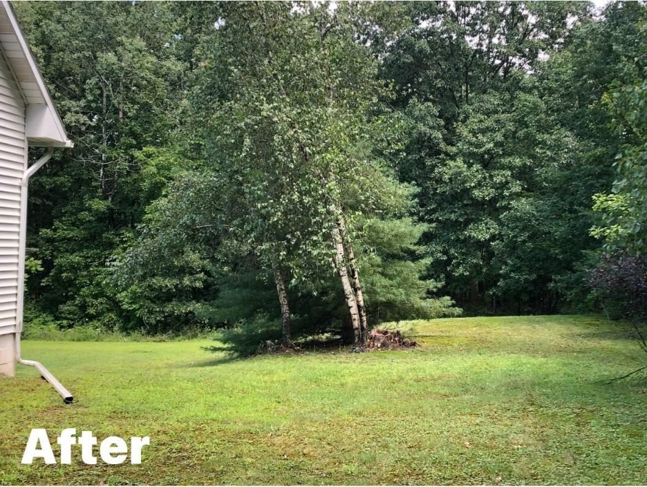Gallery Image : JCH Softwash LLC